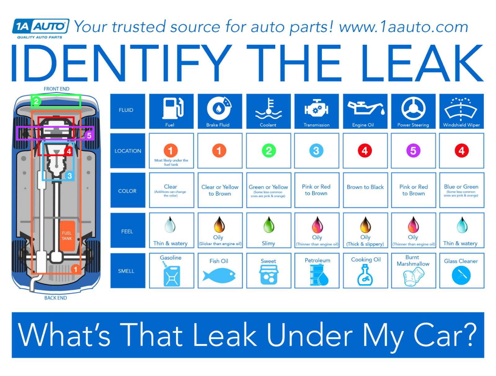 brake fluid color chart Kaycee Redding