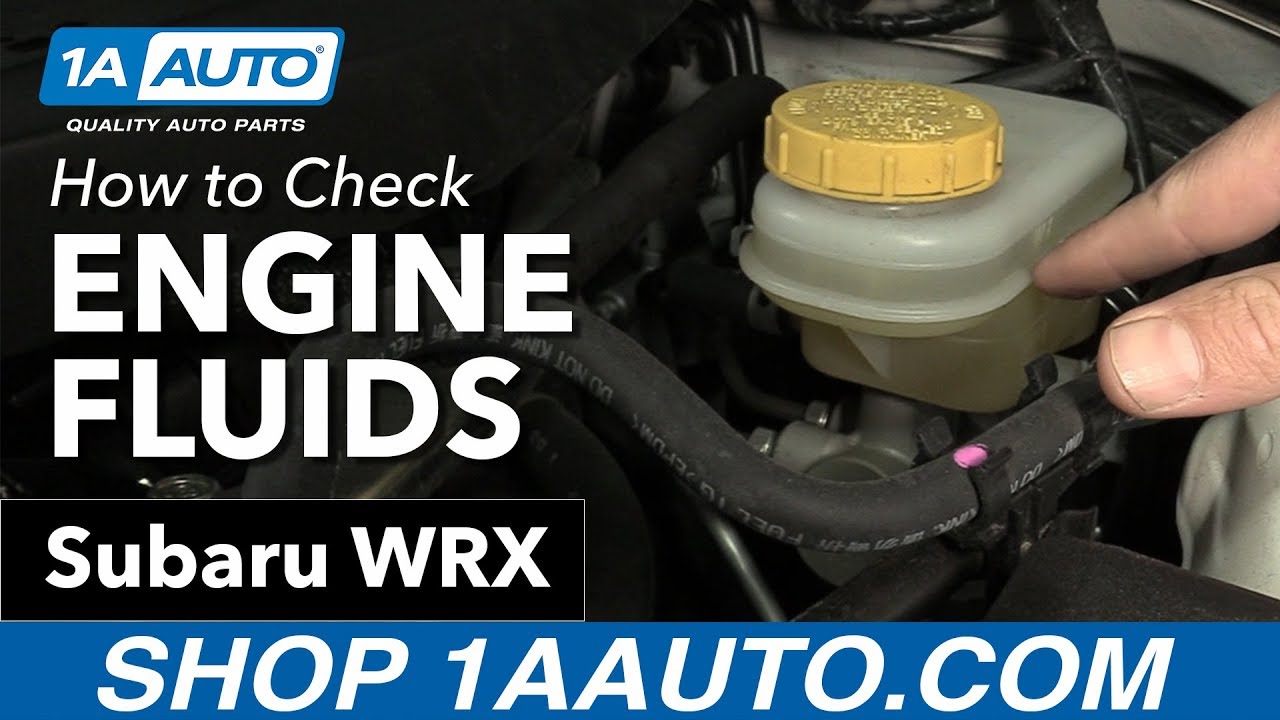 How to Check Engine Fluids 2011-16 Subaru WRX